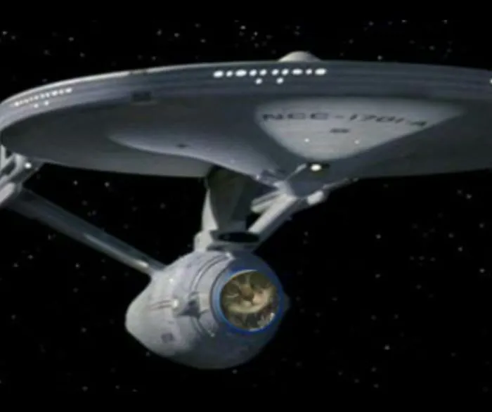 Cat +  Uss Enterprise.