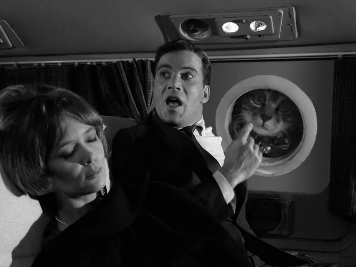 Catmare At 20,000 Feet