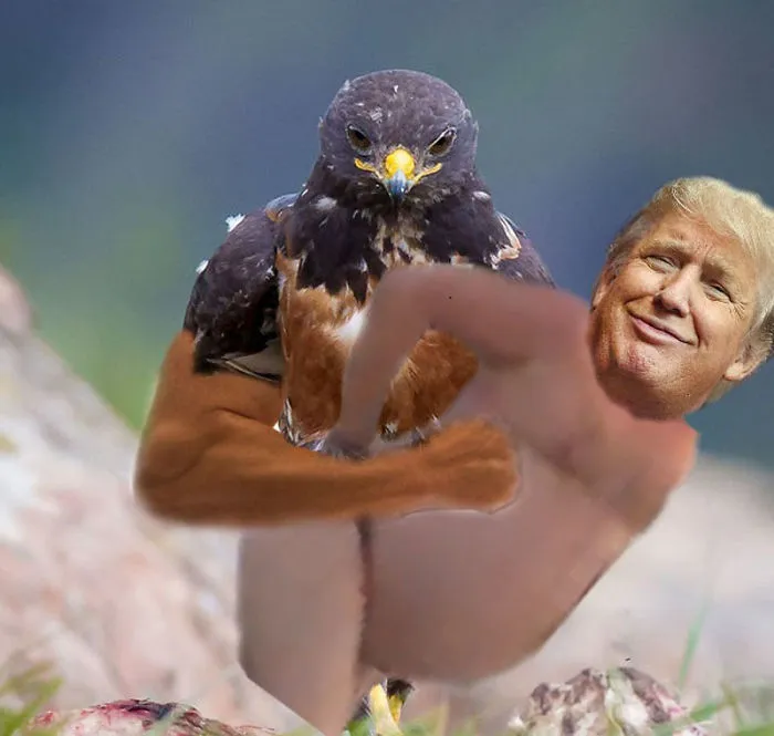 Trumpping