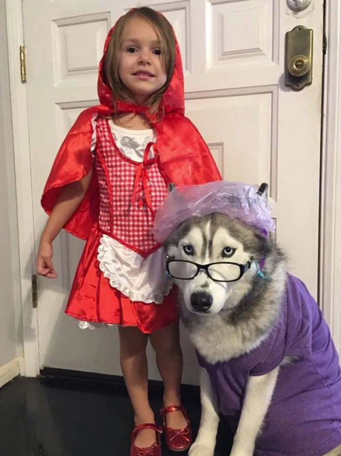 I Love This Halloween Costume