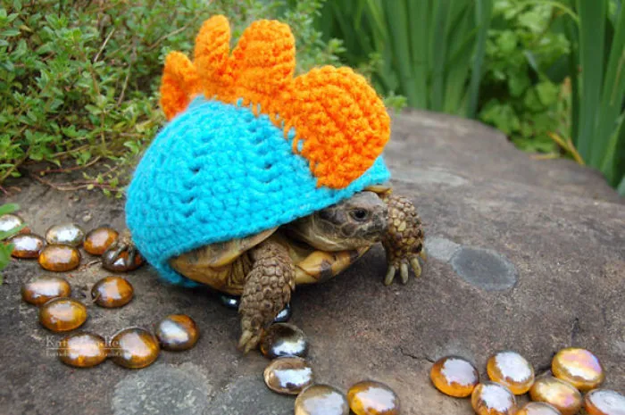 Turtlesaurus