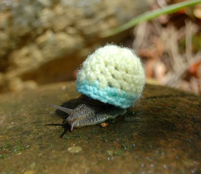 Teeny Tiny  Snail Sweater