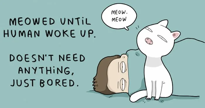 I Created A Cat Calendar To Make 2017 The Most Purrfect Year Ever