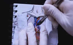 I Drew A Dissection In My Notebook To Comprise My Love For Art, Medicine And Anatomy