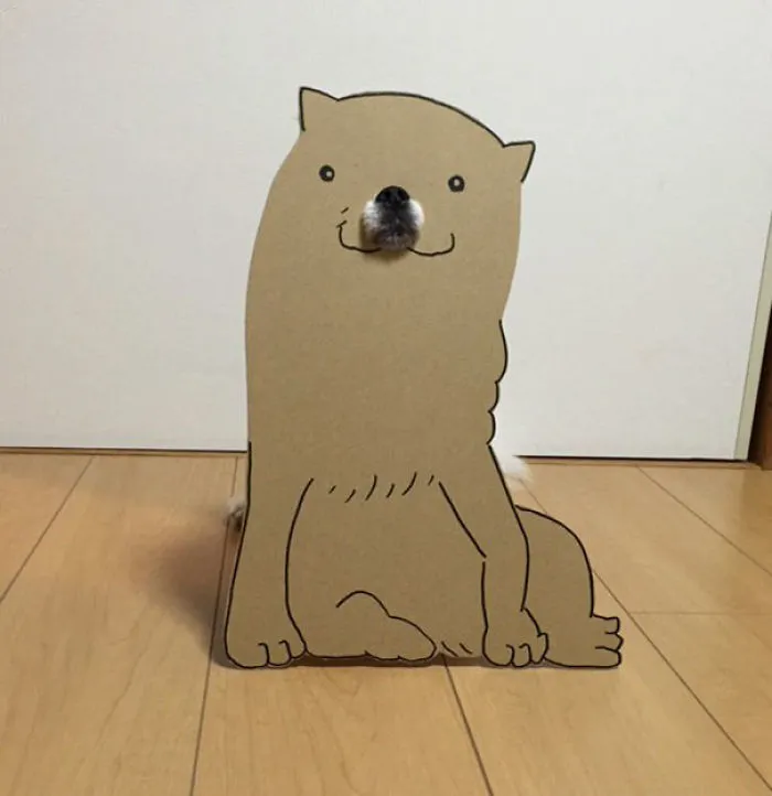 Japanese Woman Creates Hilarious Cardboard Cutouts With Her Dog (59 Pics)