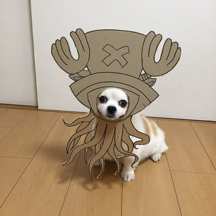 Japanese Woman Creates Hilarious Cardboard Cutouts With Her Dog (59 Pics)
