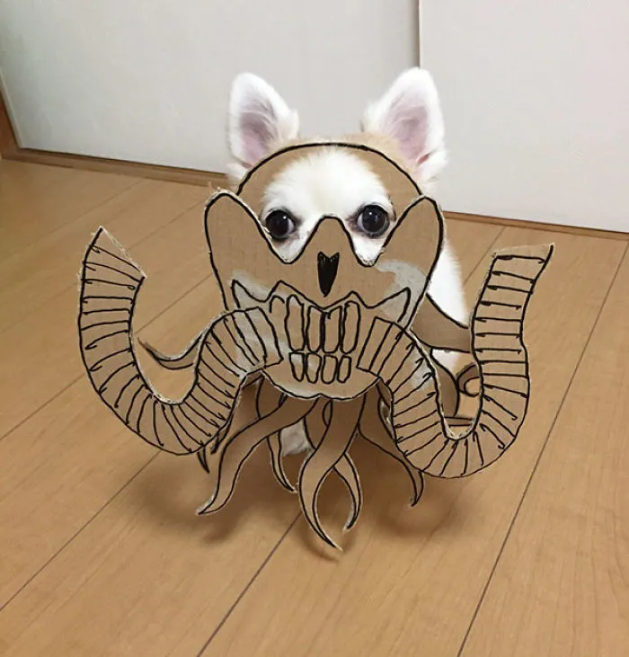 Japanese Woman Creates Hilarious Cardboard Cutouts With Her Dog (59 Pics)