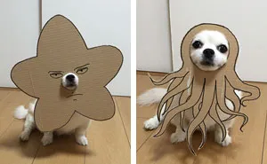 Esta japonesa crea divertidos disfraces de cartón para su perro