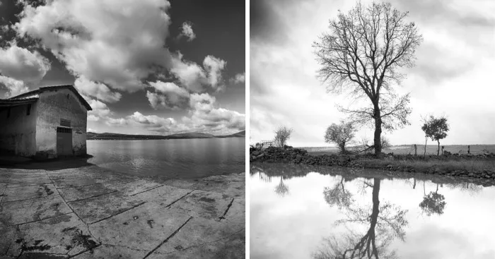 Sometimes Beauty To Our Lives Is In Black And White Colors
