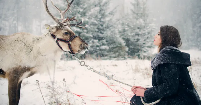My Photos Reflect On The Bond Between People And Animals