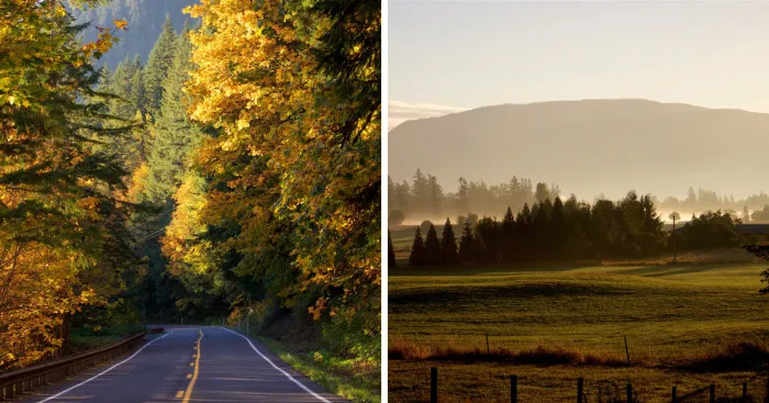 The Day I Went Searching For Autumn