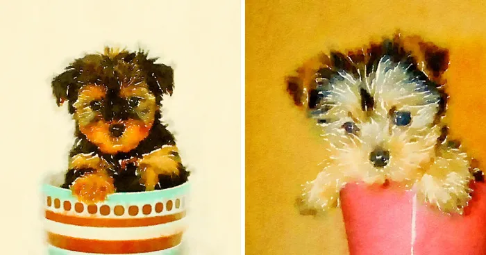 I Paint Watercolor Paintings Of Puppies In Cups