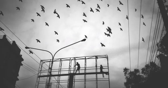 Excerpt Of Everyday: My Photography Journey With Iphone 4