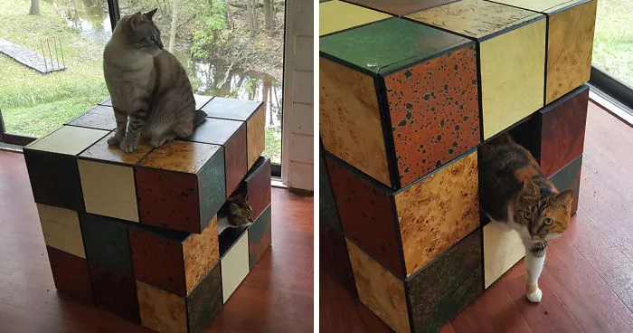 We Built A Rubik's Cube Bed For Our Cat