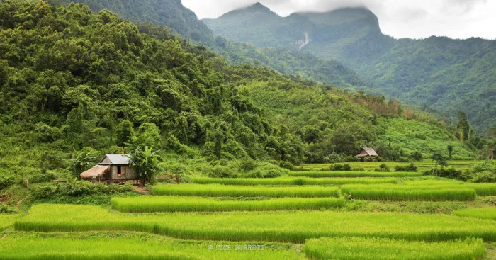 Why You Definitely Shouldn't Visit Laos!