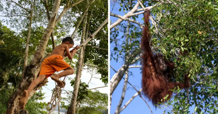 I've Photographed Kids Of Both Human & Non-Human Primates To Show Nature Conservation Importance For Future Generations