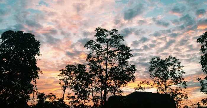 How Watching The Sunset Everyday Saved My Life