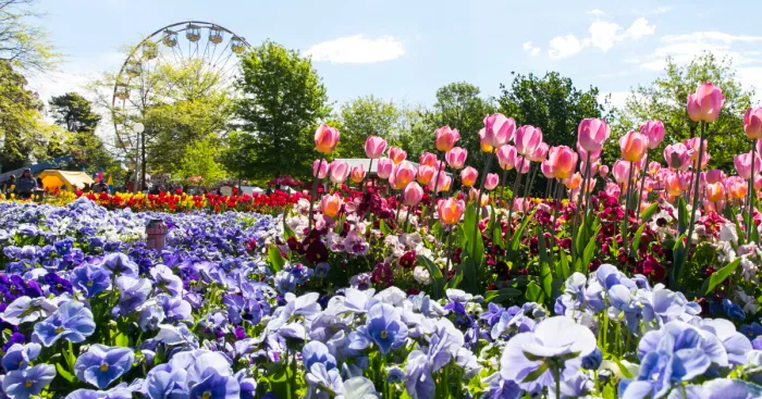 Floriade Is Australia's Biggest Celebration Of Spring
