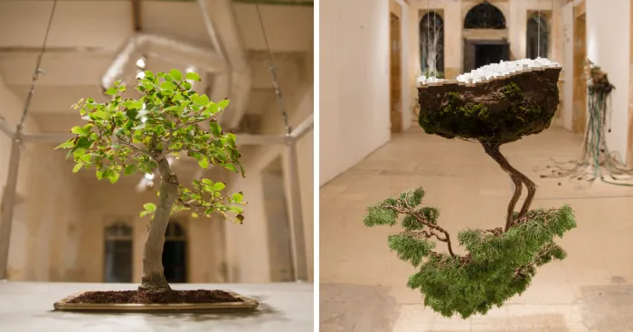 Young Designers Combine Conceptual Art With Bonsai Trees