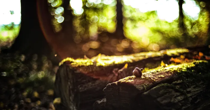 Beautiful Sunset Light And An Amazing Scenery Are Perfect Ingredients For Lovely Photographs