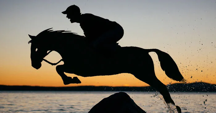 I Turn Simple Cardboard Cutouts Into Magical Horse Silhouettes