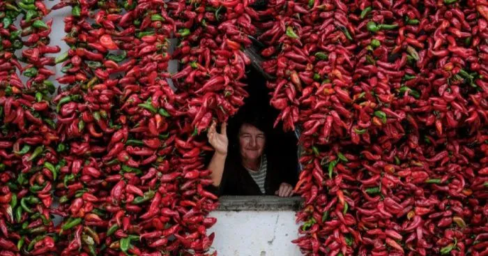 Paprika Capital Of The World: Serbia