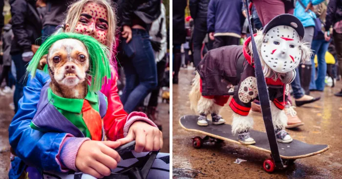 The Annual Tompkins Square Halloween Dog Parade