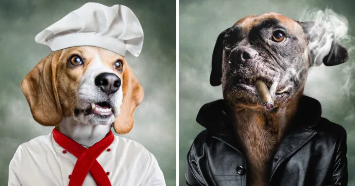 I Created These Portraits To Show That Every Dog Has A Diffrent Personality