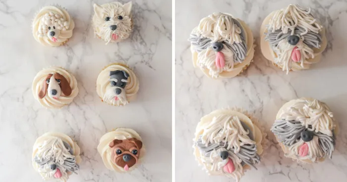 I Made Pupcakes Because They're Clearly Better Than Regular Cupcakes