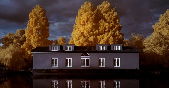 Using Infrared To See In A New Light!