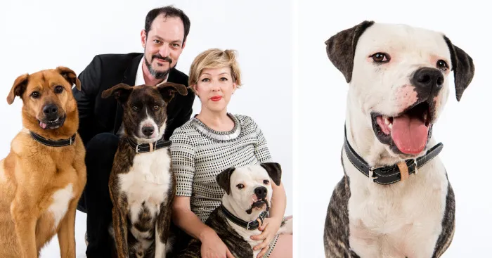 Dog Found Dying In A Ditch Gets A Brand New Life With A Loving Family