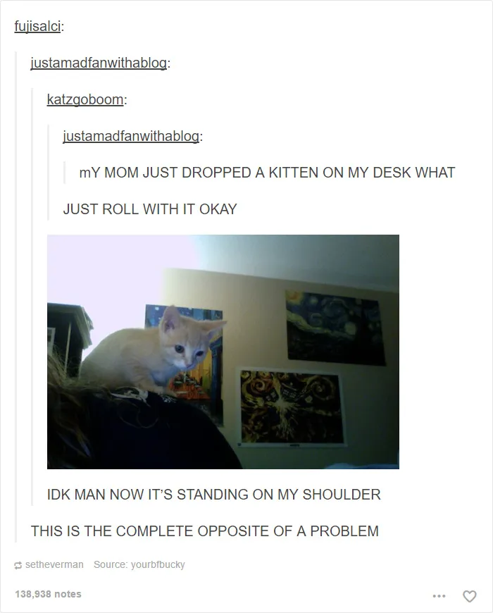 60 Cat Posts On Tumblr That Are Impossible Not To Laugh At