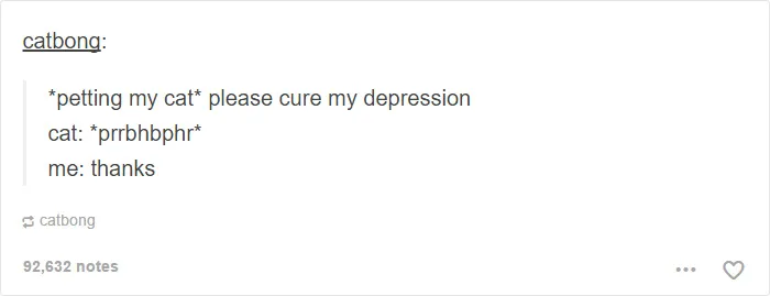 60 Cat Posts On Tumblr That Are Impossible Not To Laugh At
