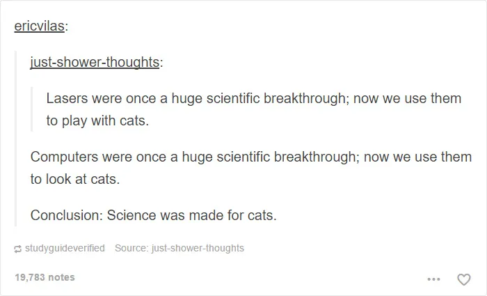 60 Cat Posts On Tumblr That Are Impossible Not To Laugh At