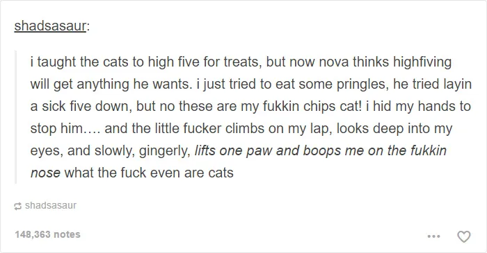 60 Cat Posts On Tumblr That Are Impossible Not To Laugh At