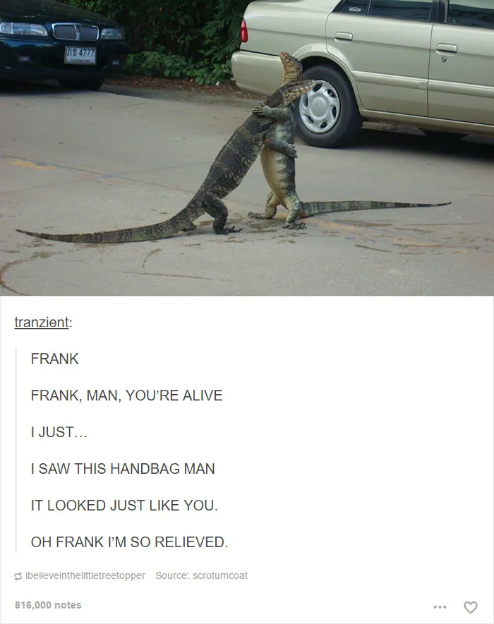 64 Animal Posts On Tumblr That Are Impossible Not To Laugh At