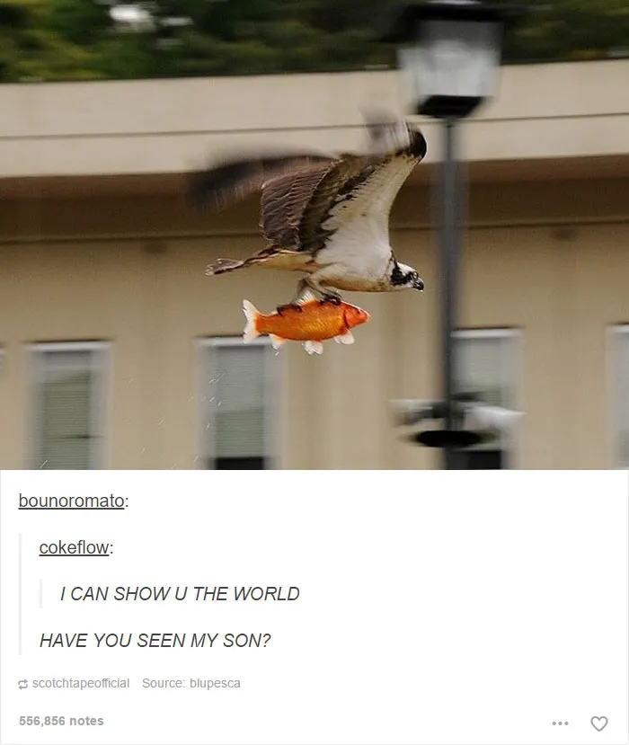 64 Animal Posts On Tumblr That Are Impossible Not To Laugh At