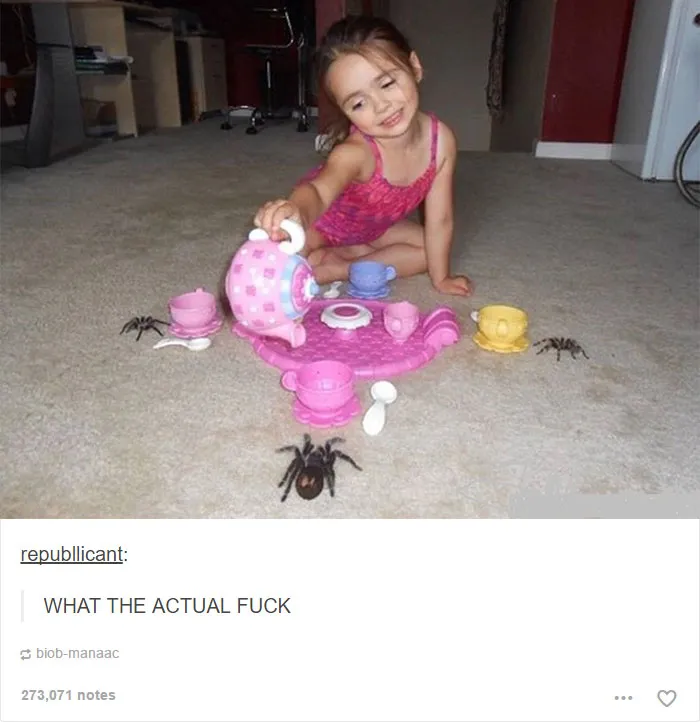 64 Animal Posts On Tumblr That Are Impossible Not To Laugh At