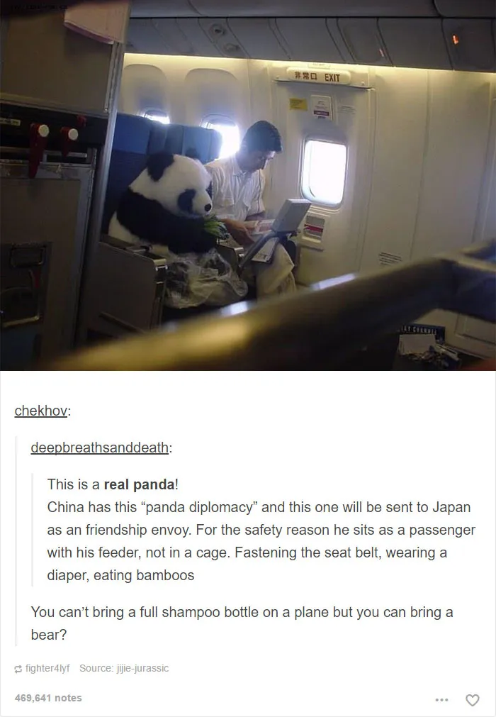 64 Animal Posts On Tumblr That Are Impossible Not To Laugh At