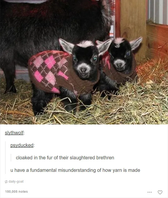 64 Animal Posts On Tumblr That Are Impossible Not To Laugh At