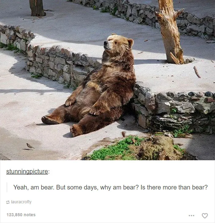64 Animal Posts On Tumblr That Are Impossible Not To Laugh At