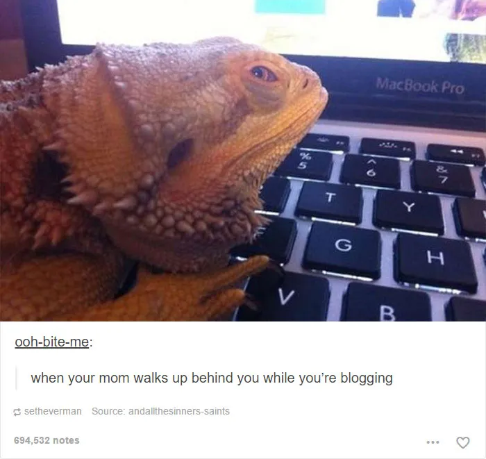 64 Animal Posts On Tumblr That Are Impossible Not To Laugh At