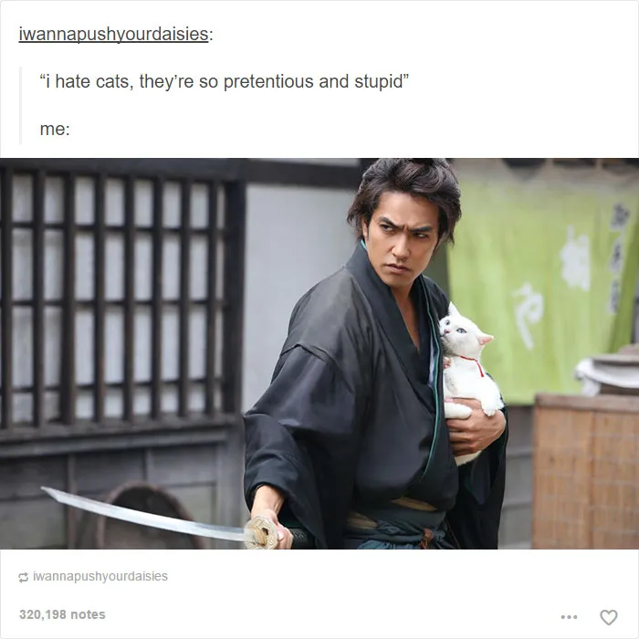 64 Animal Posts On Tumblr That Are Impossible Not To Laugh At