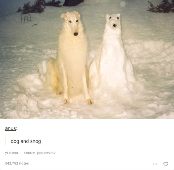 109 Dog Posts On Tumblr That Are Impossible To Get Through Without Smiling