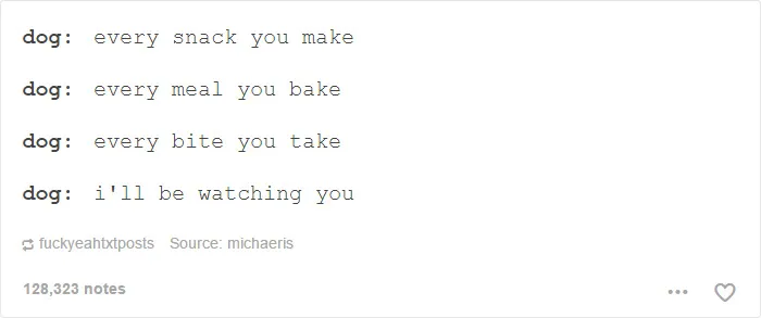 109 Dog Posts On Tumblr That Are Impossible To Get Through Without Smiling