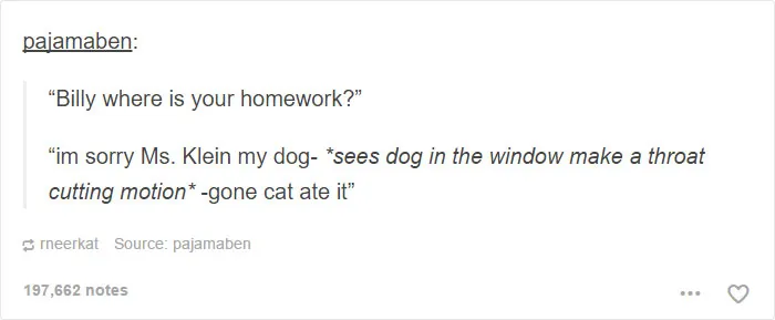 109 Dog Posts On Tumblr That Are Impossible To Get Through Without Smiling