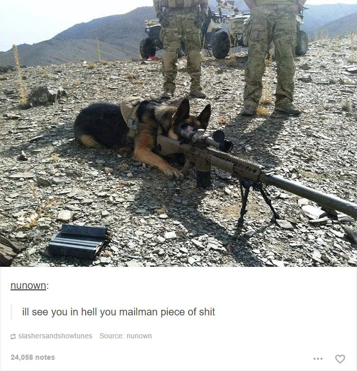 109 Dog Posts On Tumblr That Are Impossible To Get Through Without Smiling