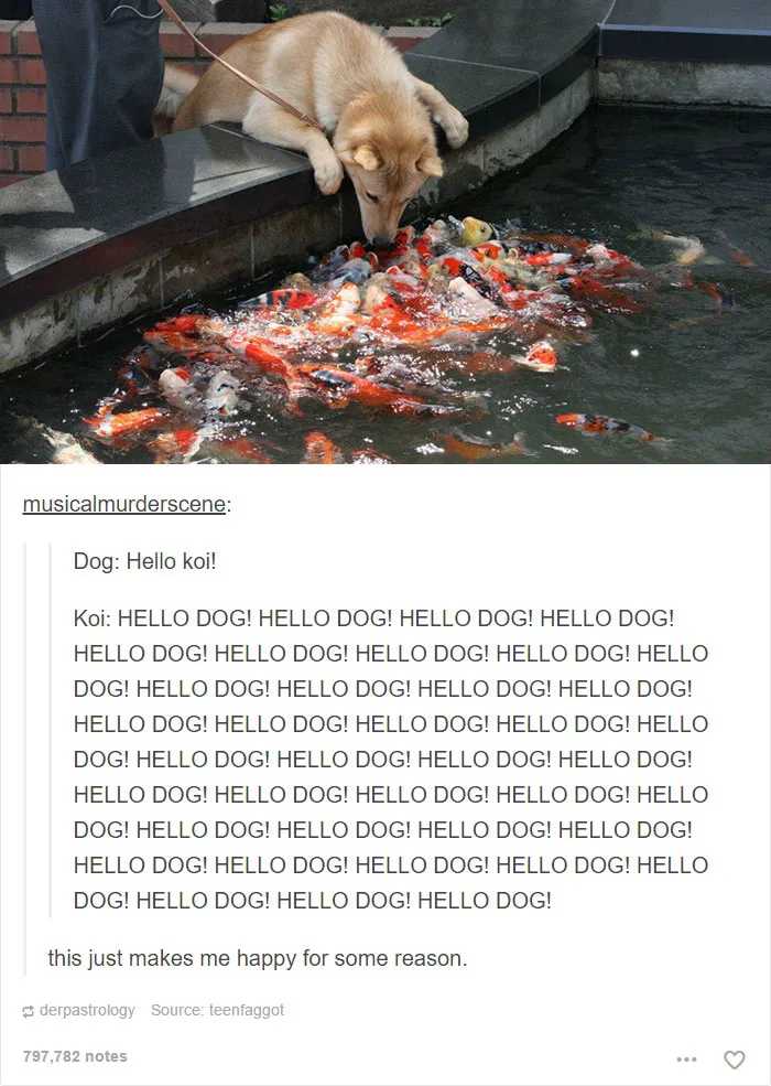 109 Dog Posts On Tumblr That Are Impossible To Get Through Without Smiling