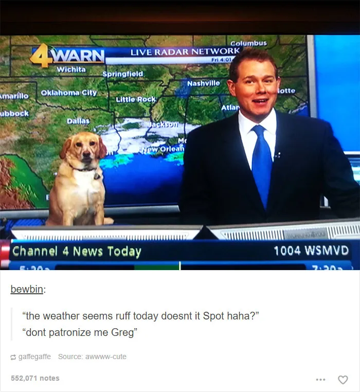 109 Dog Posts On Tumblr That Are Impossible To Get Through Without Smiling