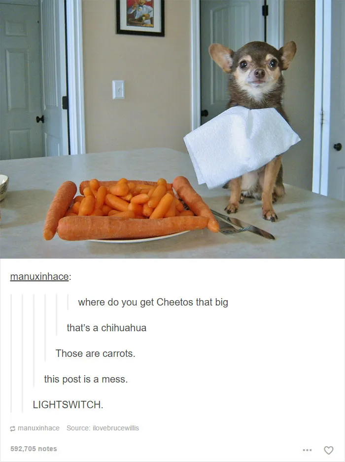 109 Dog Posts On Tumblr That Are Impossible To Get Through Without Smiling